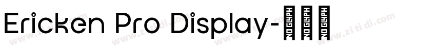 Ericken Pro Display字体转换